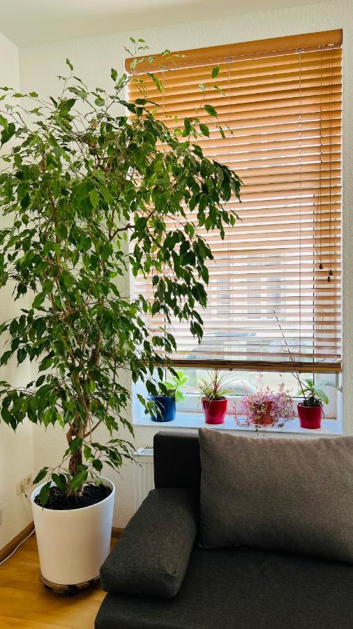 Grosses Und Helles Innenstadt Apartment - Ferienwohnung Bad Homburg vor der Hoehe Ngoại thất bức ảnh